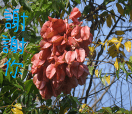 Lingling life sticker #14625563