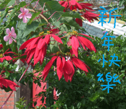 Lingling life sticker #14625565