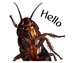 Amazing Cockroach (Eng) sticker #14625934