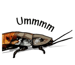 Amazing Cockroach (Eng) sticker #14625935