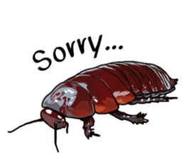 Amazing Cockroach (Eng) sticker #14625936