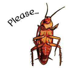 Amazing Cockroach (Eng) sticker #14625938