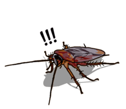 Amazing Cockroach (Eng) sticker #14625941
