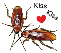 Amazing Cockroach (Eng) sticker #14625946