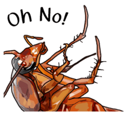 Amazing Cockroach (Eng) sticker #14625947