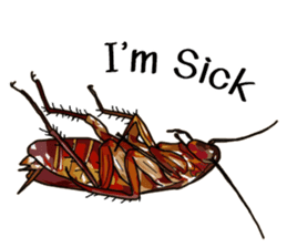 Amazing Cockroach (Eng) sticker #14625949