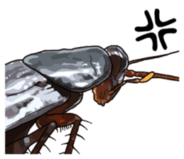 Amazing Cockroach (Eng) sticker #14625950