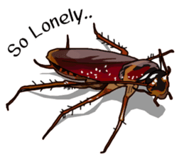 Amazing Cockroach (Eng) sticker #14625951