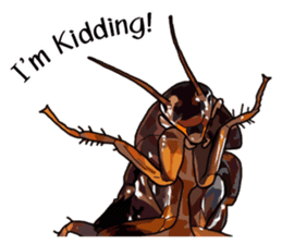 Amazing Cockroach (Eng) sticker #14625952