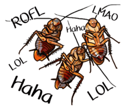 Amazing Cockroach (Eng) sticker #14625953