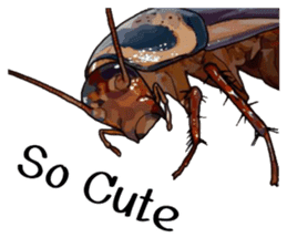 Amazing Cockroach (Eng) sticker #14625955