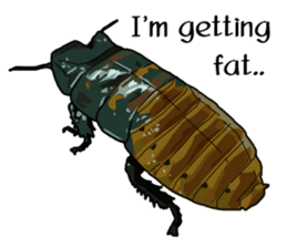 Amazing Cockroach (Eng) sticker #14625957