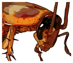 Amazing Cockroach (Eng) sticker #14625959