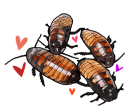 Amazing Cockroach (Eng) sticker #14625968