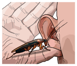 Amazing Cockroach (Eng) sticker #14625973