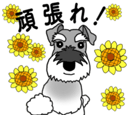 KURUMI & SANGO sticker #14626033