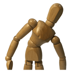 The Body (English version)