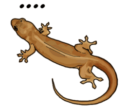 Sexy Lizard (Eng) sticker #14626104