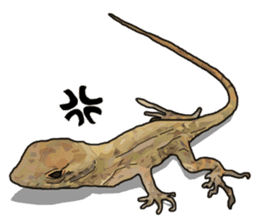 Sexy Lizard (Eng) sticker #14626105