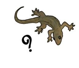 Sexy Lizard (Eng) sticker #14626106