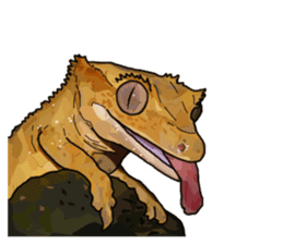 Sexy Lizard (Eng) sticker #14626114