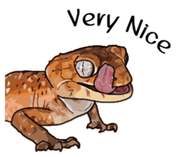 Sexy Lizard (Eng) sticker #14626115