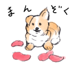 Jun`s dogs sticker #14626718