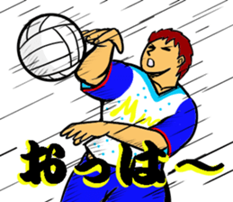 REAL VOLLEYBALL 2 sticker #14628209