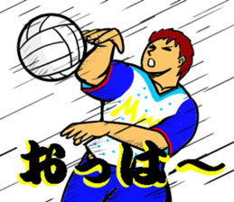 REAL VOLLEYBALL 2 sticker #14628209