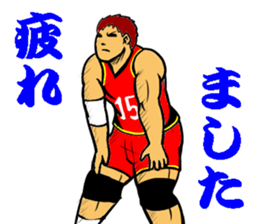 REAL VOLLEYBALL 2 sticker #14628210