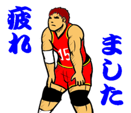 REAL VOLLEYBALL 2 sticker #14628210