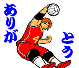 REAL VOLLEYBALL 2 sticker #14628212