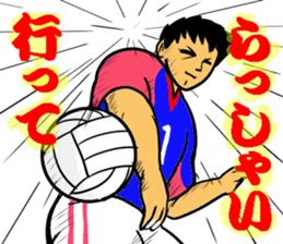 REAL VOLLEYBALL 2 sticker #14628213