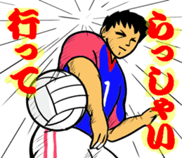 REAL VOLLEYBALL 2 sticker #14628213