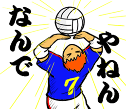 REAL VOLLEYBALL 2 sticker #14628216