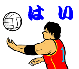REAL VOLLEYBALL 2 sticker #14628217