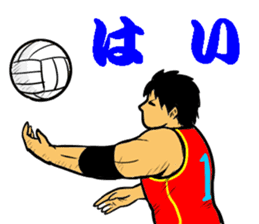 REAL VOLLEYBALL 2 sticker #14628217