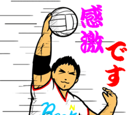 REAL VOLLEYBALL 2 sticker #14628221