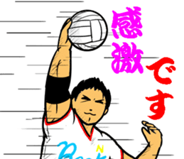 REAL VOLLEYBALL 2 sticker #14628221