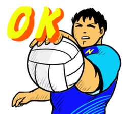 REAL VOLLEYBALL 2 sticker #14628222