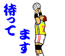 REAL VOLLEYBALL 2 sticker #14628224