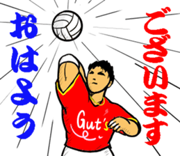 REAL VOLLEYBALL 2 sticker #14628225