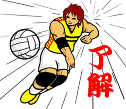 REAL VOLLEYBALL 2 sticker #14628226