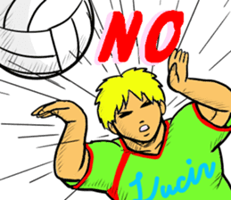 REAL VOLLEYBALL 2 sticker #14628228