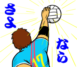 REAL VOLLEYBALL 2 sticker #14628229