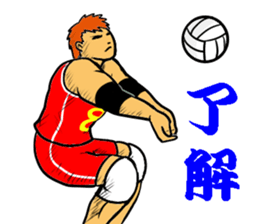 REAL VOLLEYBALL 2 sticker #14628232
