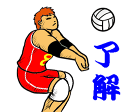 REAL VOLLEYBALL 2 sticker #14628232