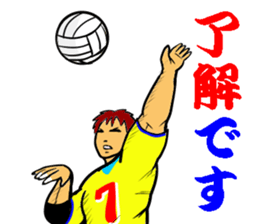 REAL VOLLEYBALL 2 sticker #14628233