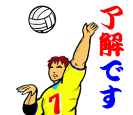 REAL VOLLEYBALL 2 sticker #14628233