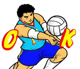 REAL VOLLEYBALL 2 sticker #14628235